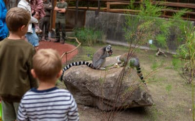 John Hansen står bag vellykket tur til Aalborg Zoo