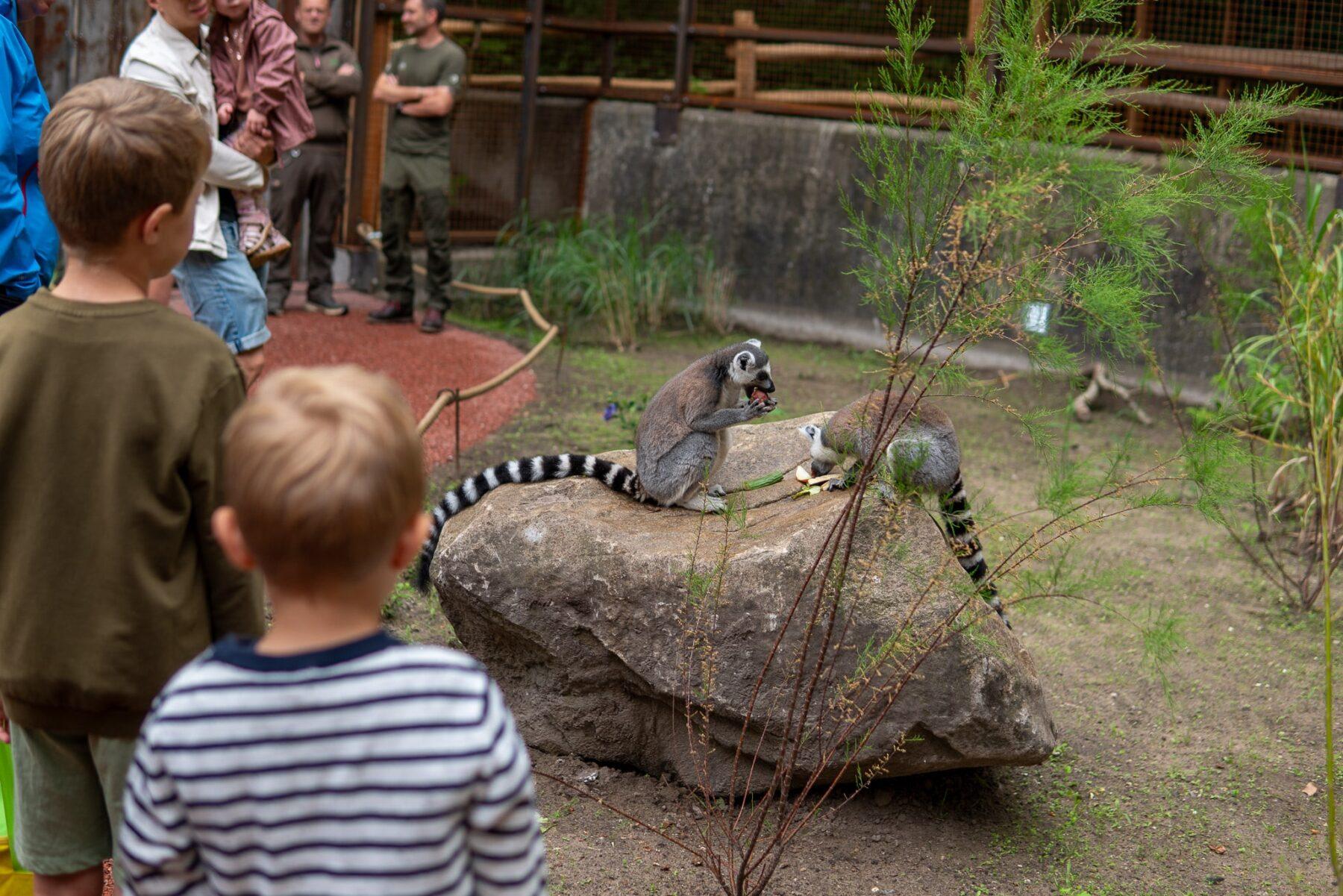 Aalborg Zoo